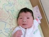 2013年誕生の赤ちゃん