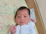 2014年誕生の赤ちゃん