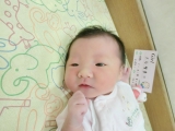 2017年誕生の赤ちゃん