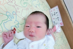 CIMG0035 2