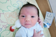 CIMG0298 2
