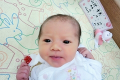 CIMG0653 2
