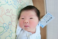 CIMG0911 2